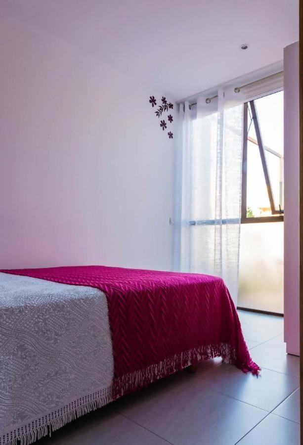 Casa Rural Vina Vella Esteiro Bagian luar foto